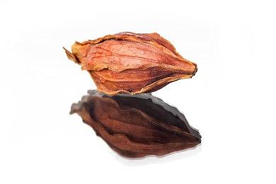 《永恒空间2》厂商探讨设计理念：不会采用程序生成